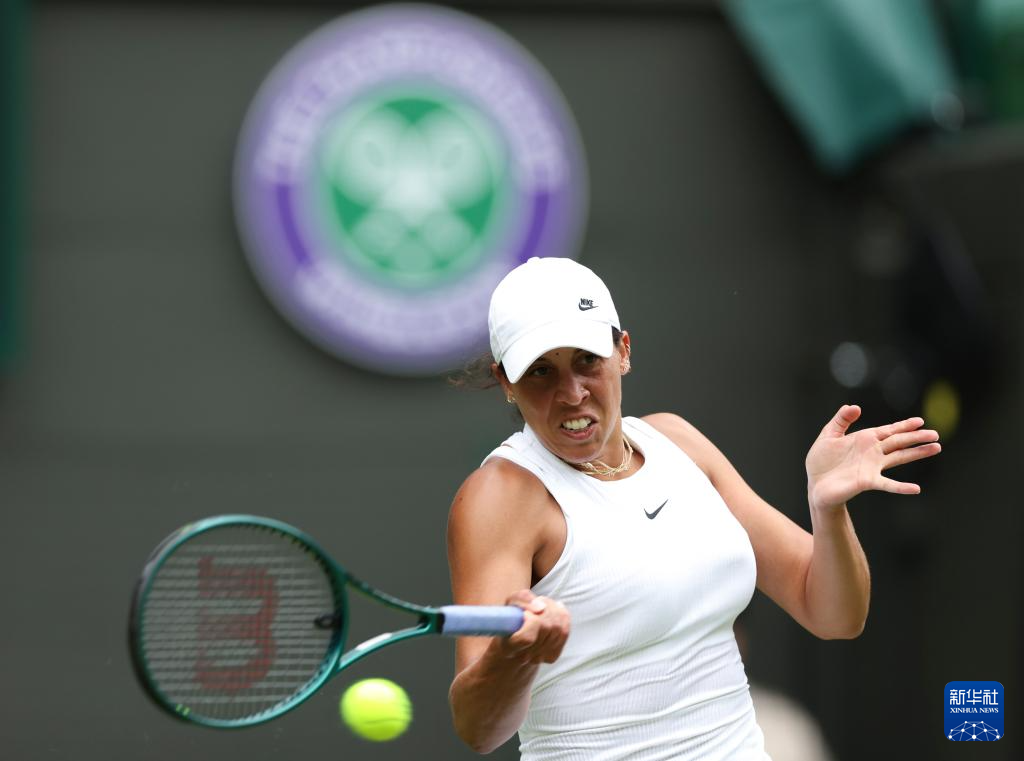 乒坛名将朱 乒坛名将朱