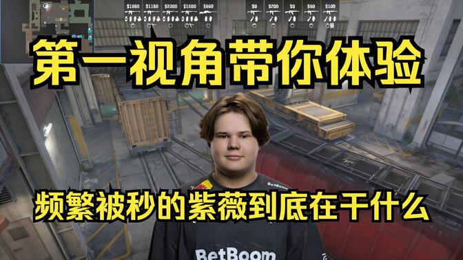 方案B